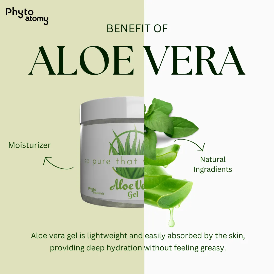 RBV B2B 100% Pure Aloevera Gel 200g-30 Pcs. (SP1456)