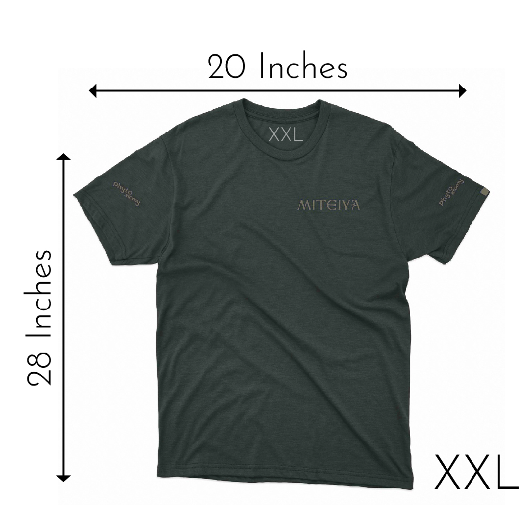 Consistency Phyto T shirt XXL Size - 1 Pc