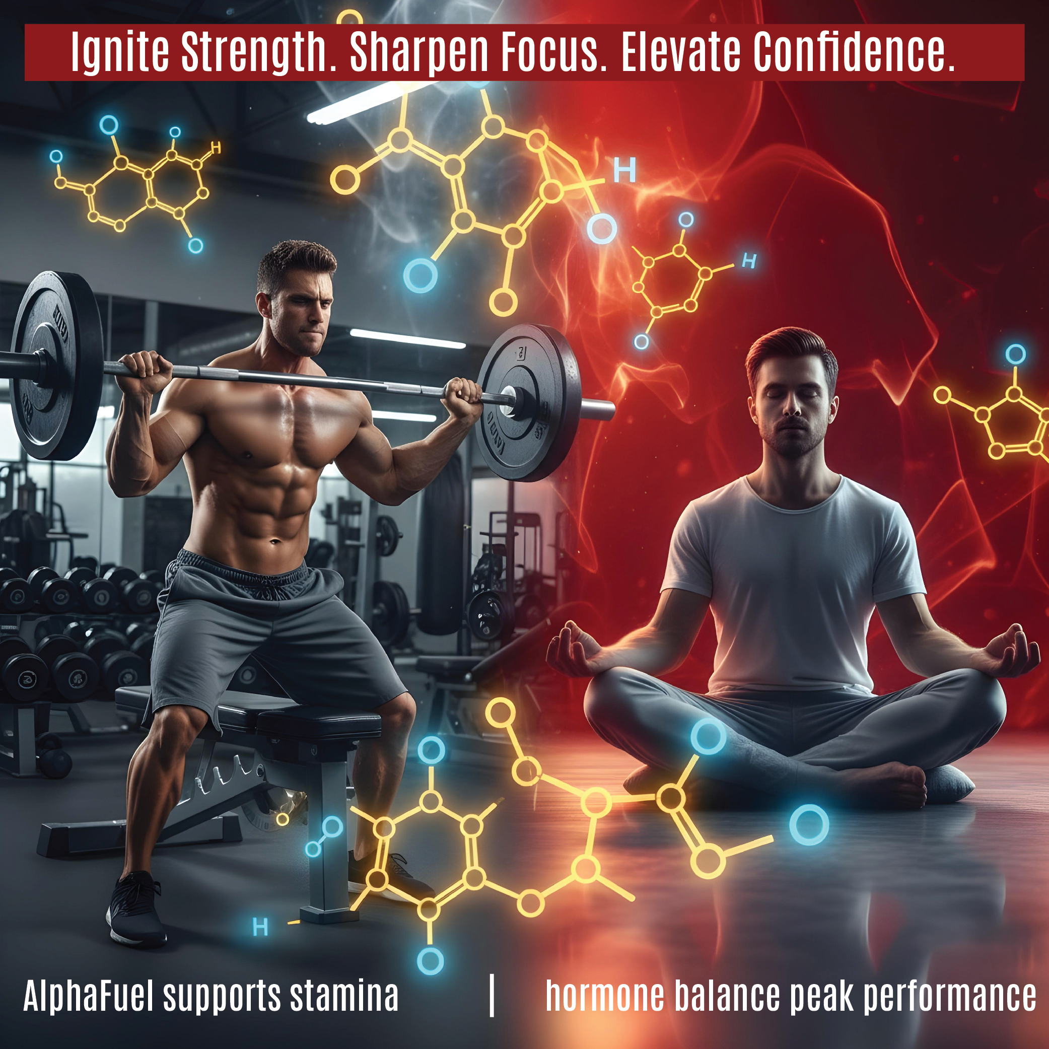 Alpha Fuel  (60 Tab) (HS00659)