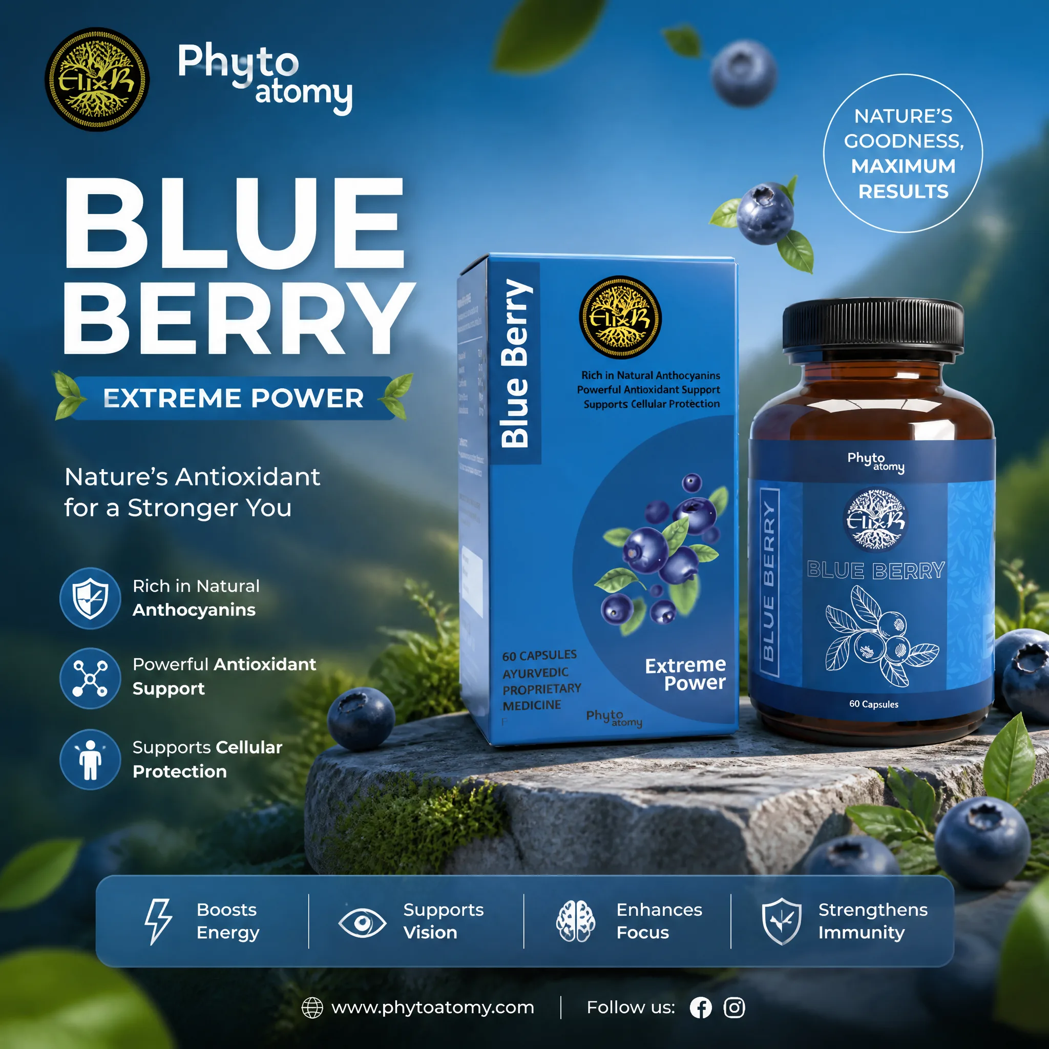 Blue Berry (60 Capsule) (HS00635)