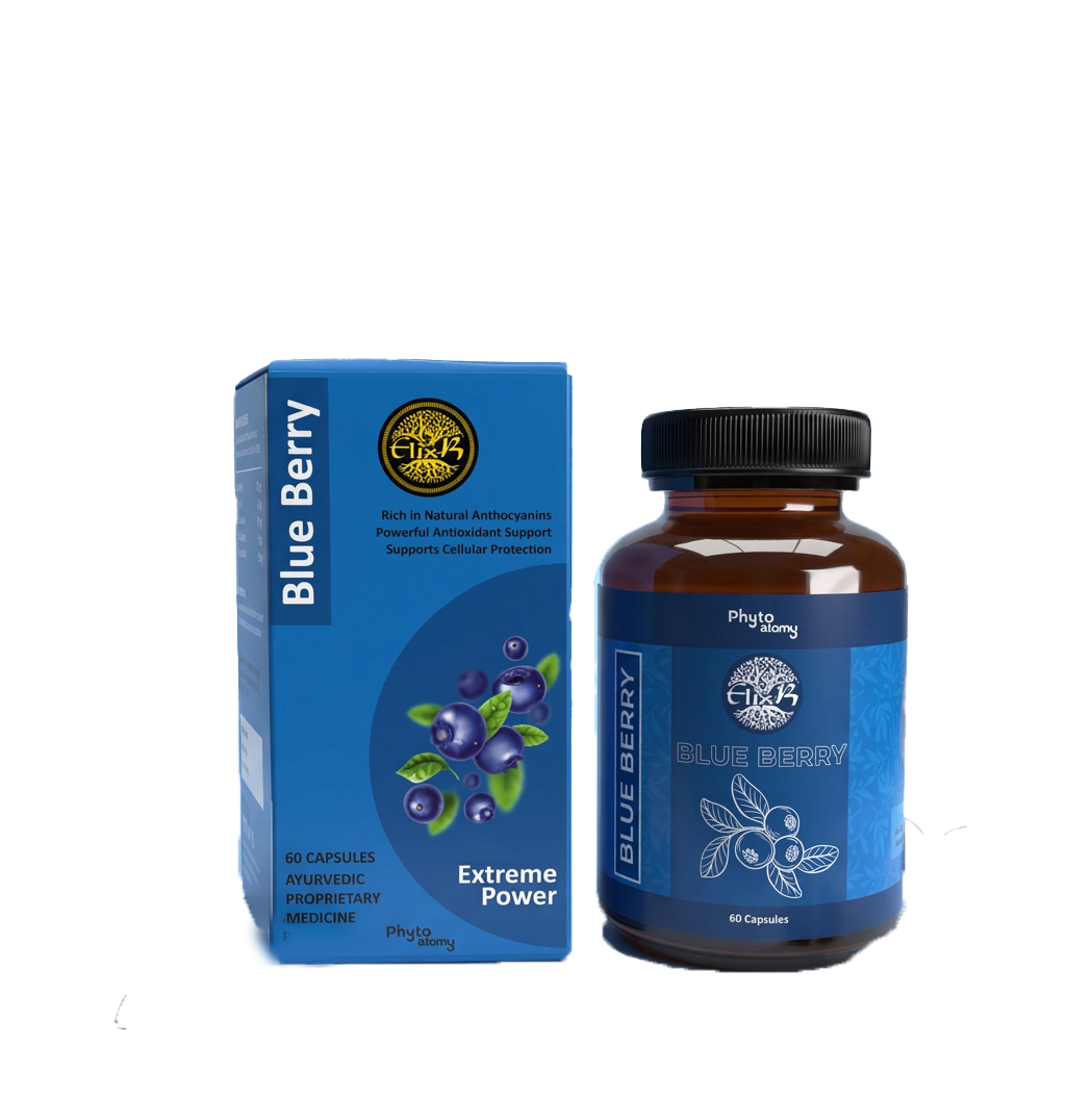 Blue Berry (6 Pcs) -Delta (SP1699)